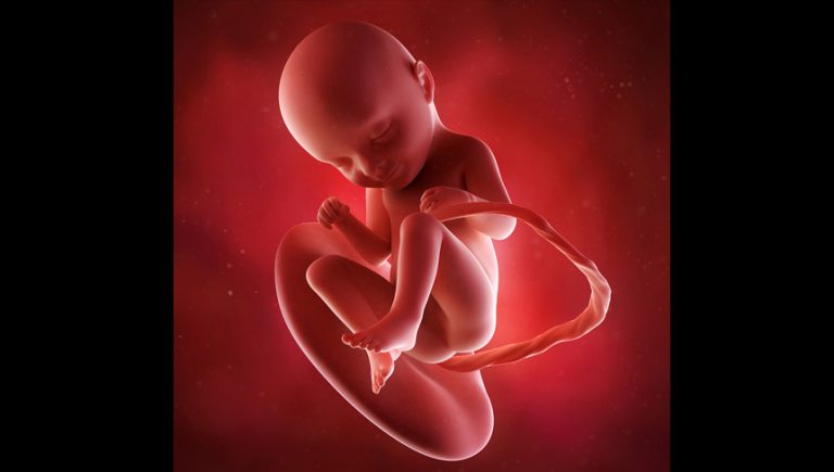 33 гестационна седмица