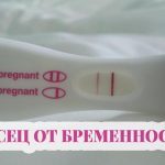 1 месец от бременността