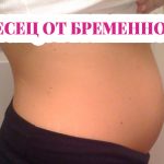 4 месец от бременността