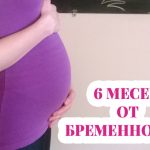 6 месец от бременността