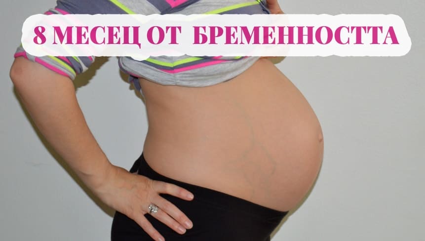 8 месец от бременността
