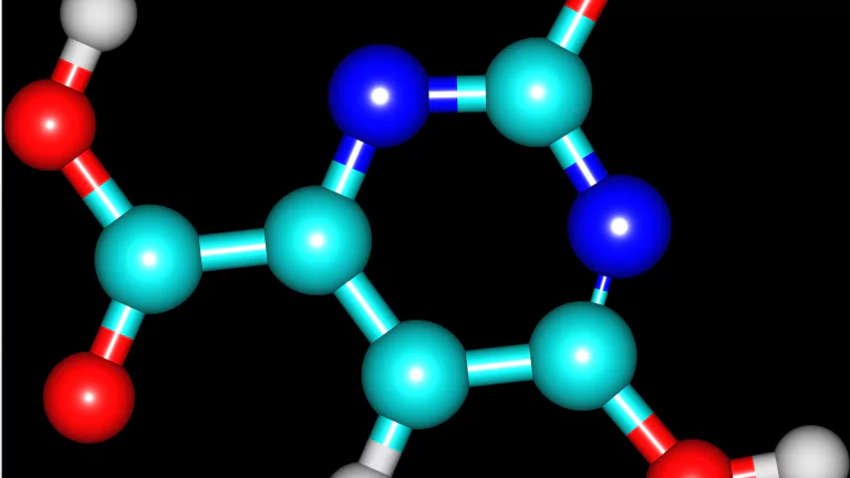 Оротовата киселина