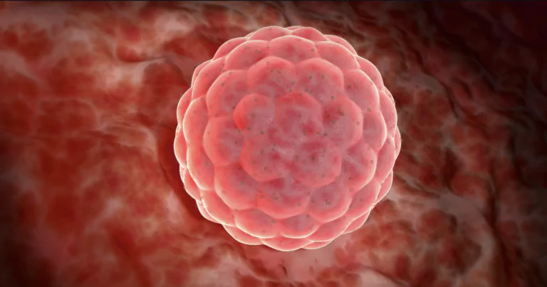 Имплантация: Описание, Симптоми за успех и Проблеми